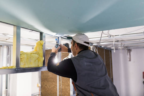 Best Commercial Insulation in Wyoming, IL