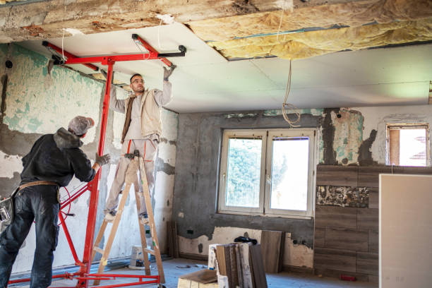 Best DIY Insulation Kits and Guidance in Wyoming, IL